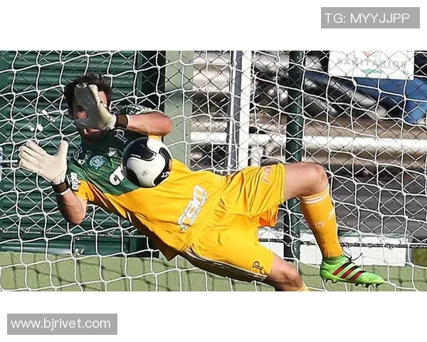 帕尔梅拉斯与庞特普激战正酣谁能在这场对决中笑到最后 帕尔梅拉斯与庞特普激战正酣谁能在这场对决中笑到最后