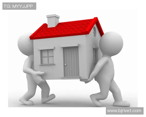 搬家攻略全解析：轻松搬家，省心省力的实用技巧与注意事项