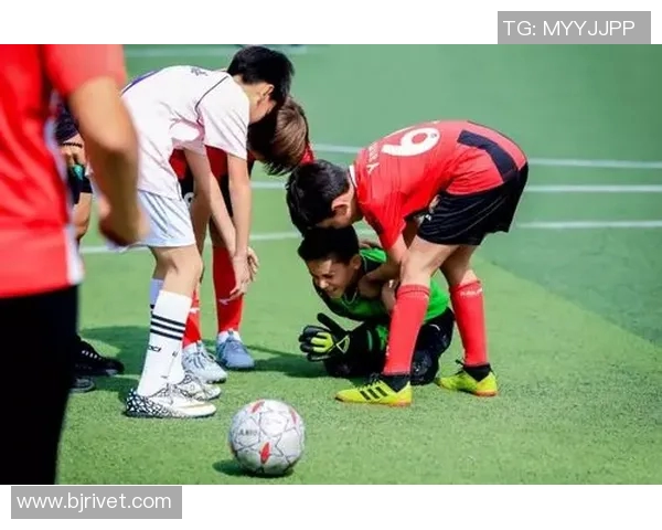 竞技运动的多维发展：从竞技精神到身体素质的全方位探讨