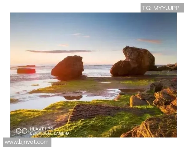 刘娜独家揭秘攀岩技巧与心得分享助你提升攀爬水平 刘娜独家揭秘攀岩技巧与心得分享助你提升攀爬水平