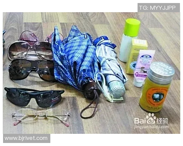 攀岩装备选购指南：必备护具推荐与使用技巧分享