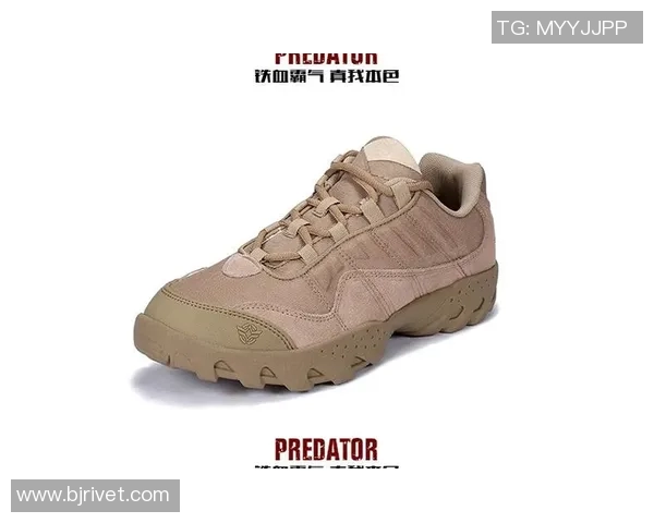 深圳攀岩队的战术控制体系解析与实战应用探讨