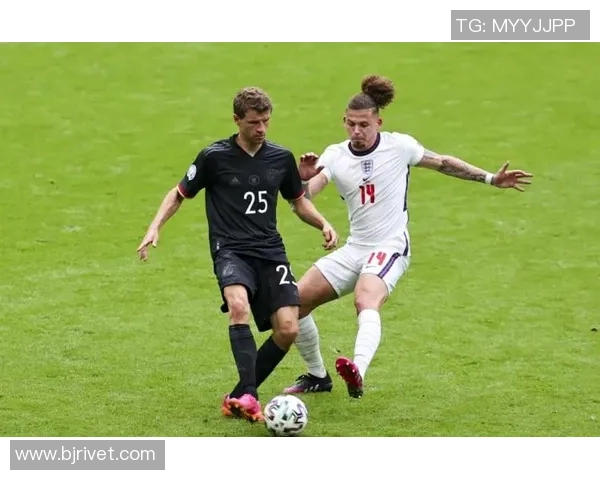 深入分析上海极限运动队的防守策略与战术执行细节