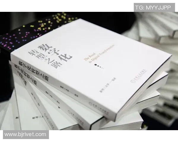 北京排球队的转型之路：从传统强队到现代化竞技新标杆的探索与实践