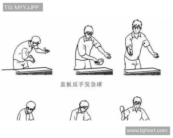 科学乒乓球速度训练方法探究与实用技巧分享
