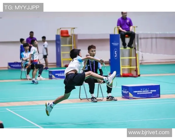 赛后分析:杭州羽毛球队与南京羽毛球队在灵活性上的较量与启示 赛后分析:杭州羽毛球队与南京羽毛球队在灵活性上的较量与启示