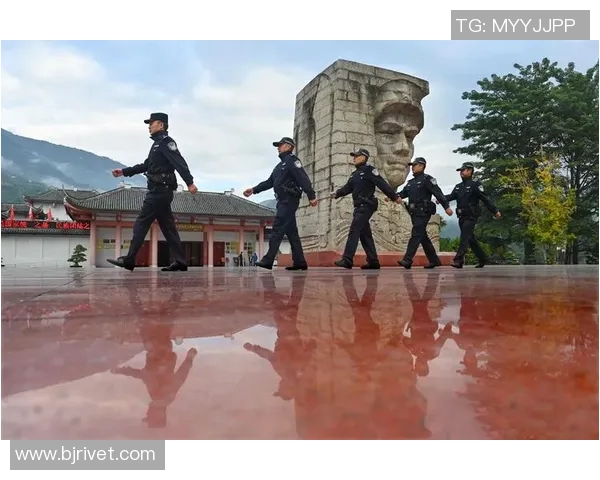 勇士精神的传承与发展：从历史英雄到现代竞技场的无畏征程