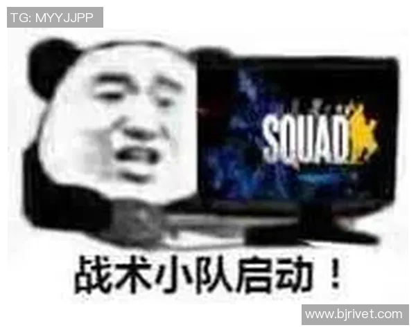 攀岩新手必看：从基础到进阶的全方位战术入门指南