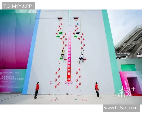 杭州攀岩队在极限运动会中的意识表现与团队协作分析