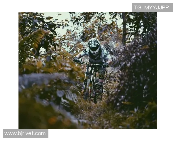 极限运动的热血与坚持：北京极限运动队成长历程全景纪实