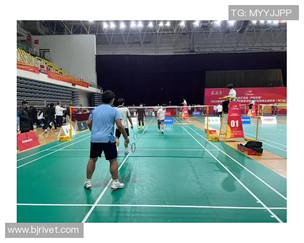 武汉羽毛球队的转型之路与深度解析羽毛球运动的未来发展