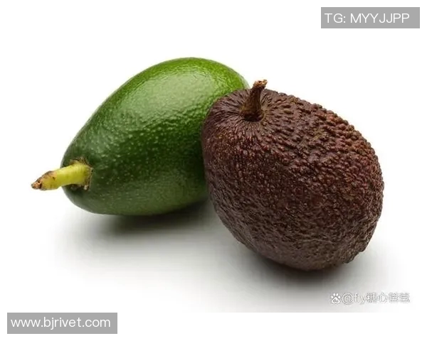 果蔬营养全解析：从健康饮食到美丽肌肤的天然秘诀